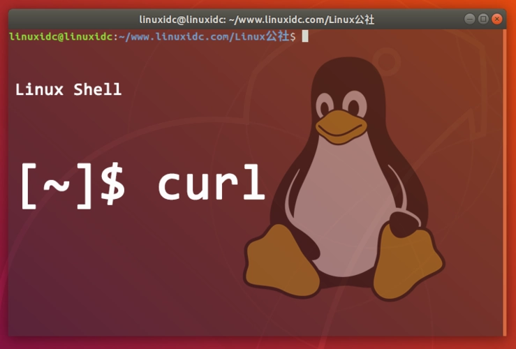 linux服务器系统curl命令（详细讲解）-连界优站