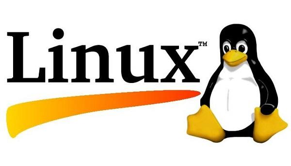 如何使用本地电脑搭建linux服务器-连界优站