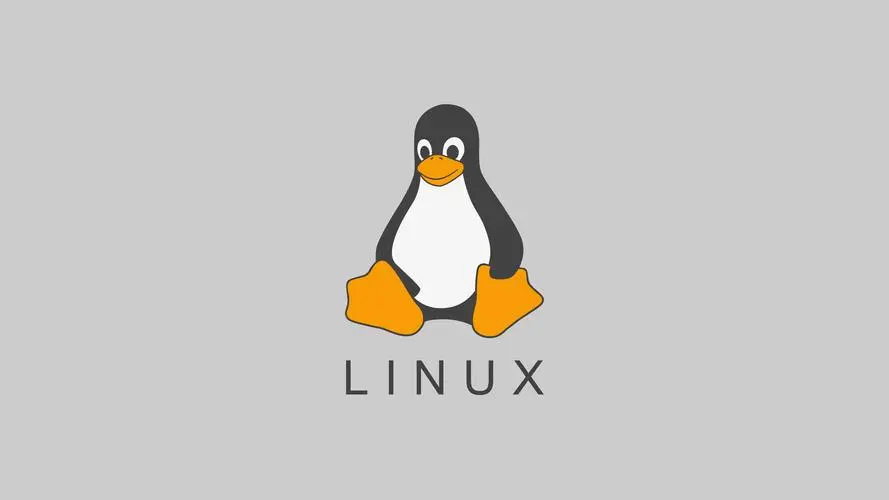 从头开始：Linux下的网卡配置、用户管理与互信息-连界优站