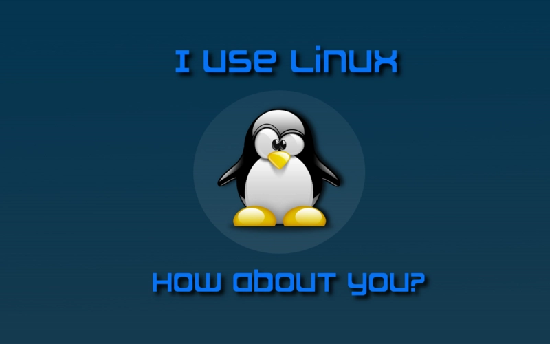 深入探究：Linux性能分析中的内存分析工具使用指南（free、vmstat、top、ps、pmap等）-连界优站