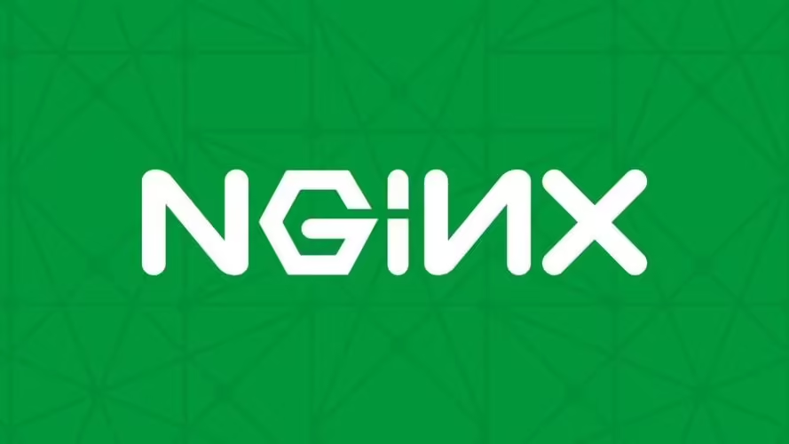 剖析网站延迟请求：深入探析Nginx的ngx_http_log_request_speed功能-连界优站