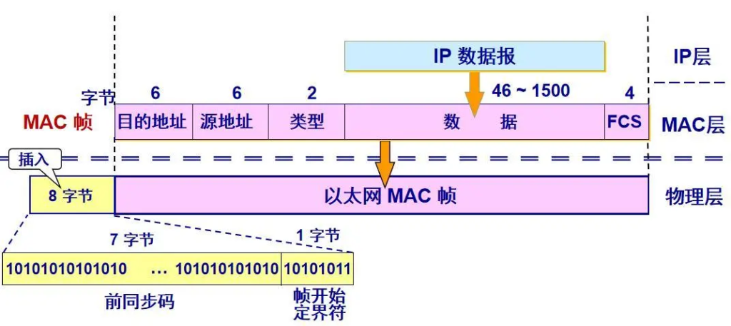 深入解析网络协议格式：探索以太网帧、ARP数据报、IP数据报、UDP数据报和TCP数据报-连界优站