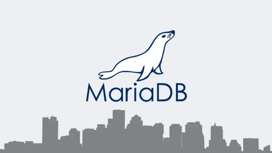 如何在 Docker 中重置 MariaDB 的 Root 密码-连界优站