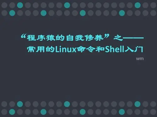 探索Shell命令中的通配符表达式：精准匹配文件的利器-连界优站