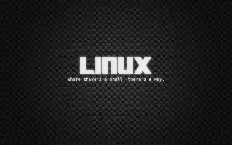 Linux系统资源监控：深入了解进程资源占用-连界优站