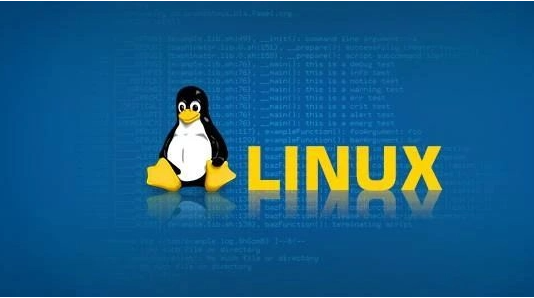 深入探讨Linux中的七种文件类型-连界优站