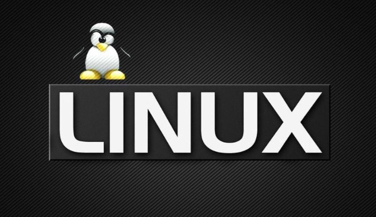 全面解析：Linux系统中的软件包类型与库文件详解-连界优站