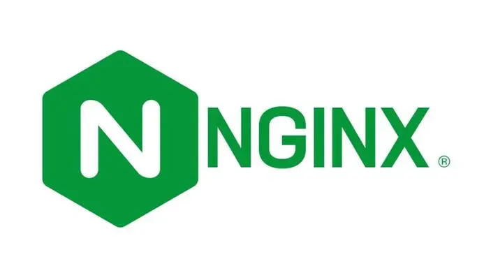 使用 frps 和 Nginx 实现 IP 访问记录追踪-连界优站