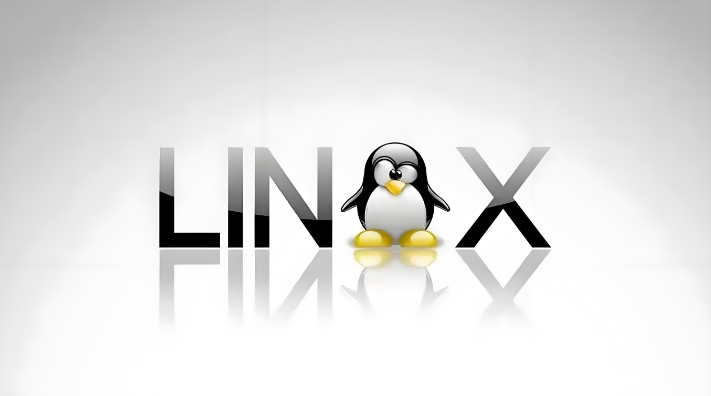 弹性管理的艺术：LVM在Linux系统中的应用及TCP协议探究-连界优站