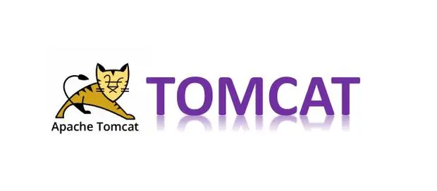 在Docker中高效部署Tomcat实现Java Web服务-连界优站