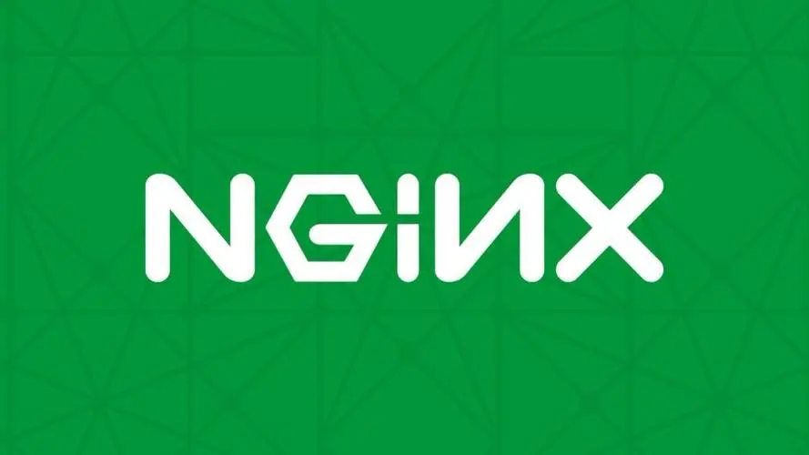 【实战指南】Nginx优化与防盗链配置全攻略-连界优站