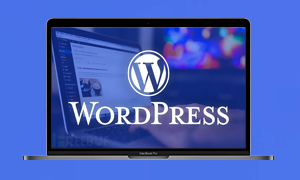 WordPress网站添加百度统计代码：轻松统计网站访问量-连界优站